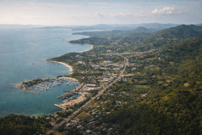 Investment Opportunities